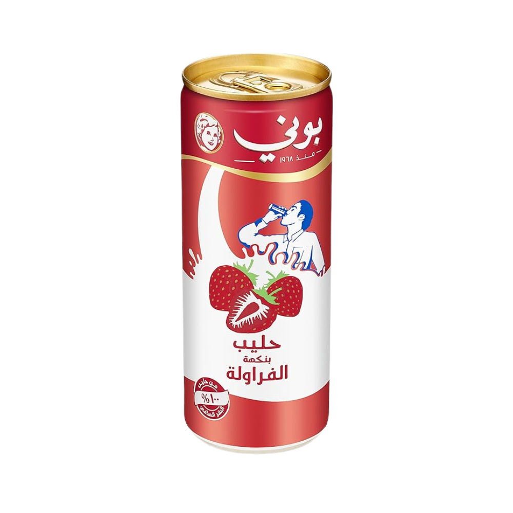 Bonny Strawberry Milk (24 x 250 ml)