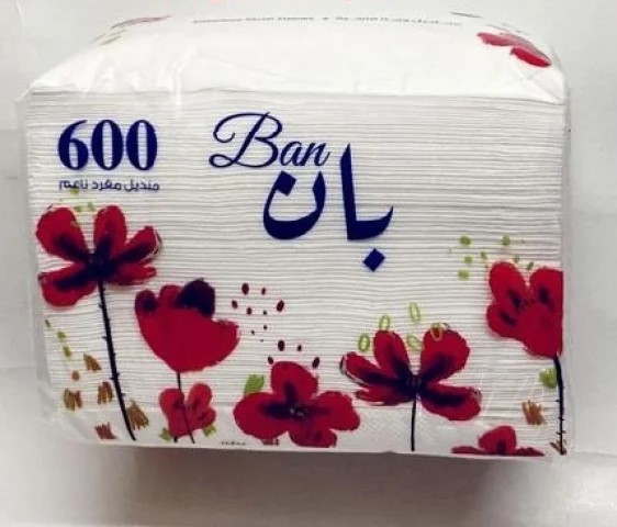 TISSUE BAN (600 PCS) (2x10)