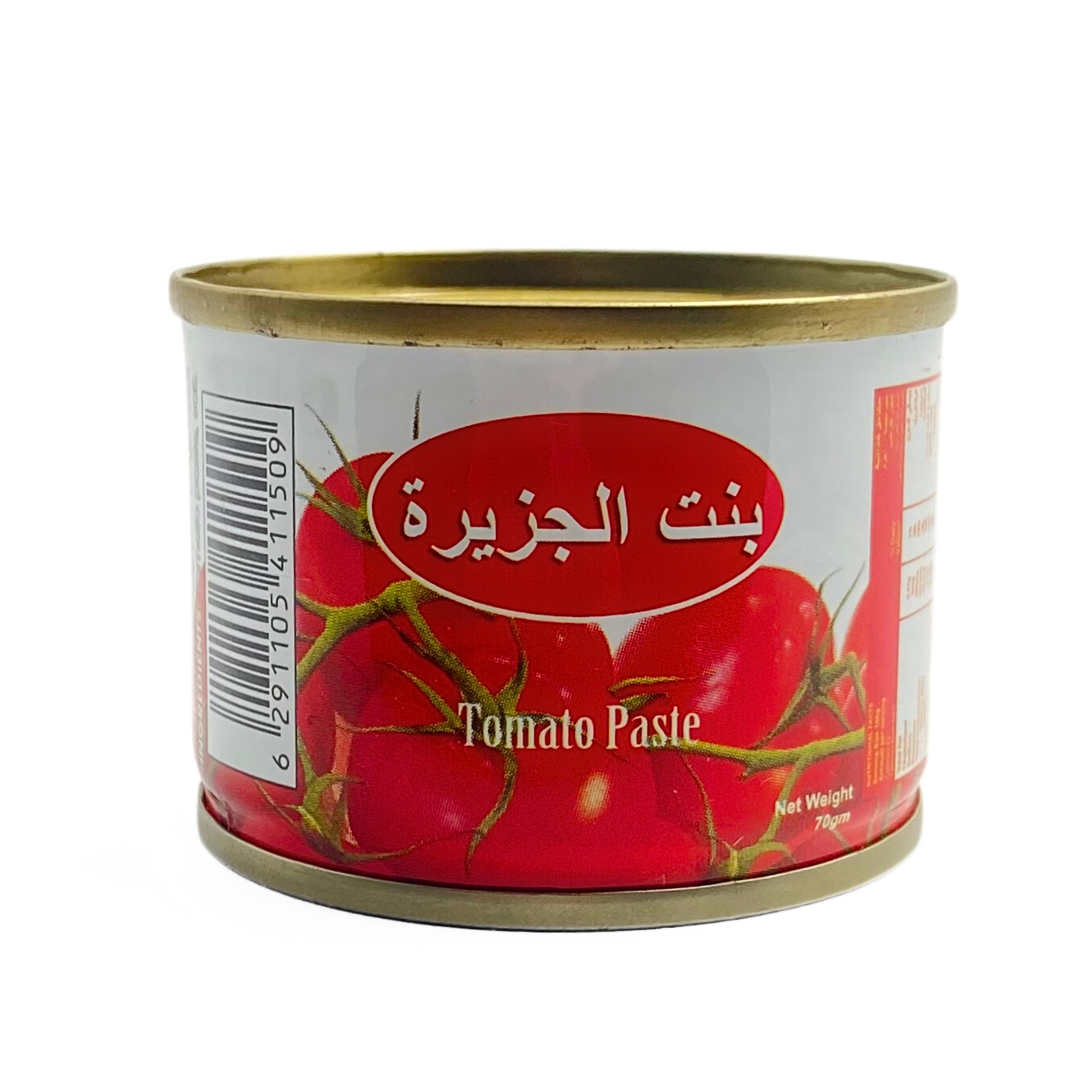 Bint Al Jazeera sauce paste (100 x 70gm)