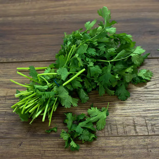 Coriander Packet (8 to 12 Pcs)