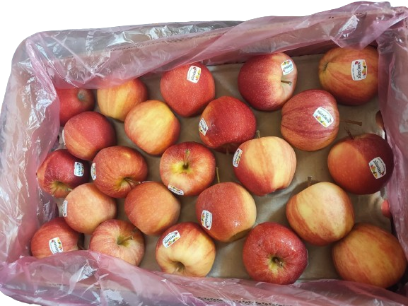 Apple Red (17Kg)