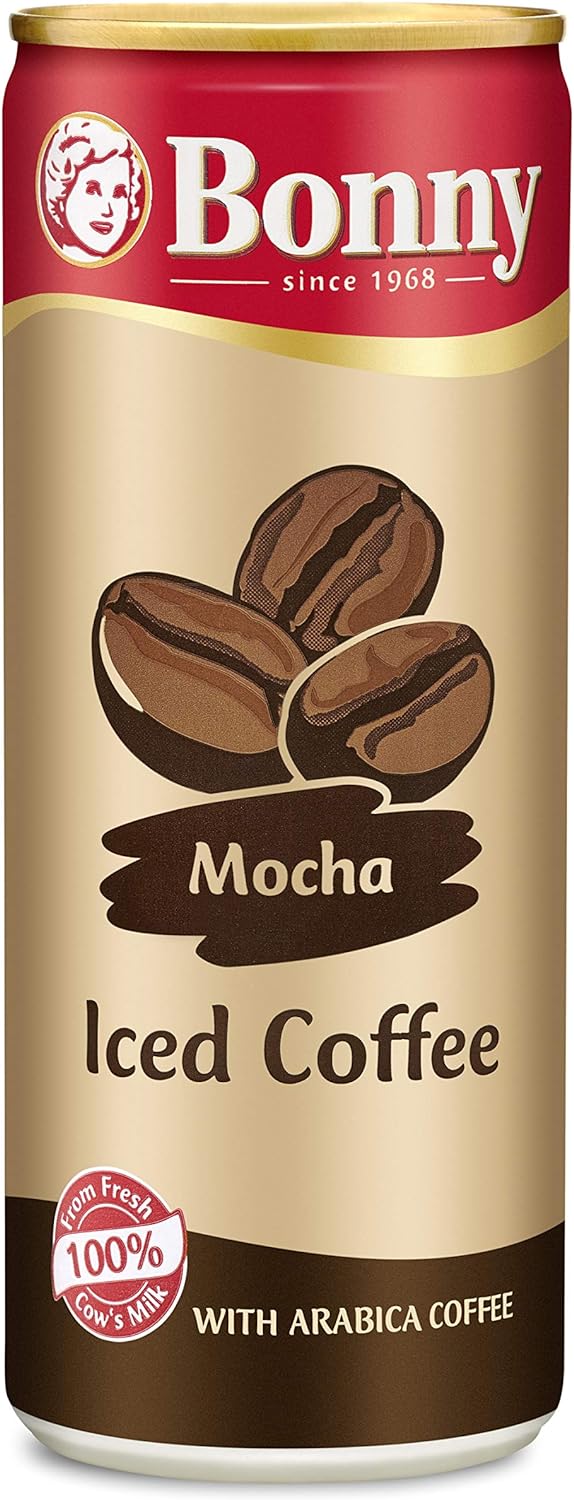 Bonny Iced Mocha Milk (24 x 250ml)