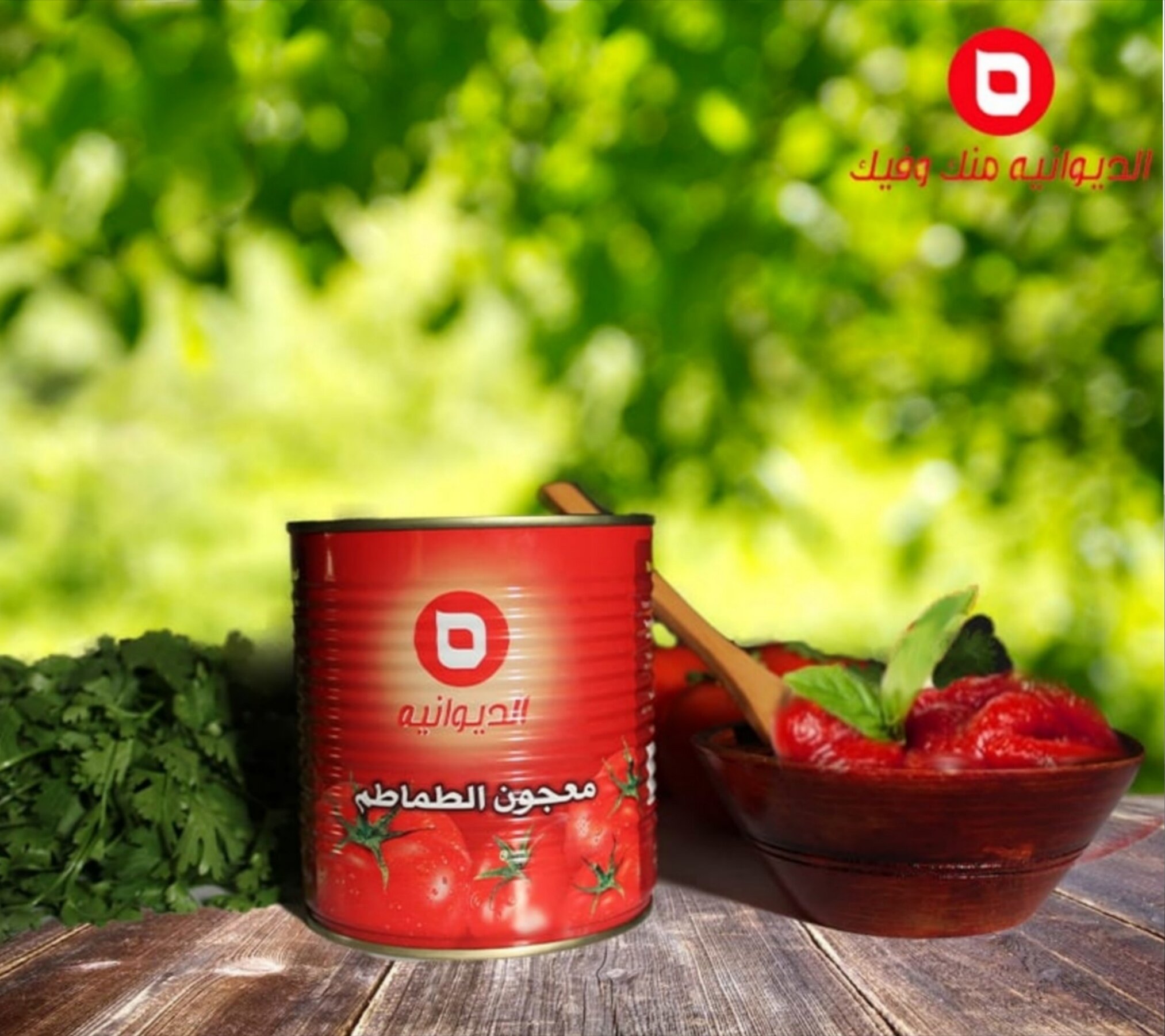 Diwaniyah sauce (12 x 800 grams)