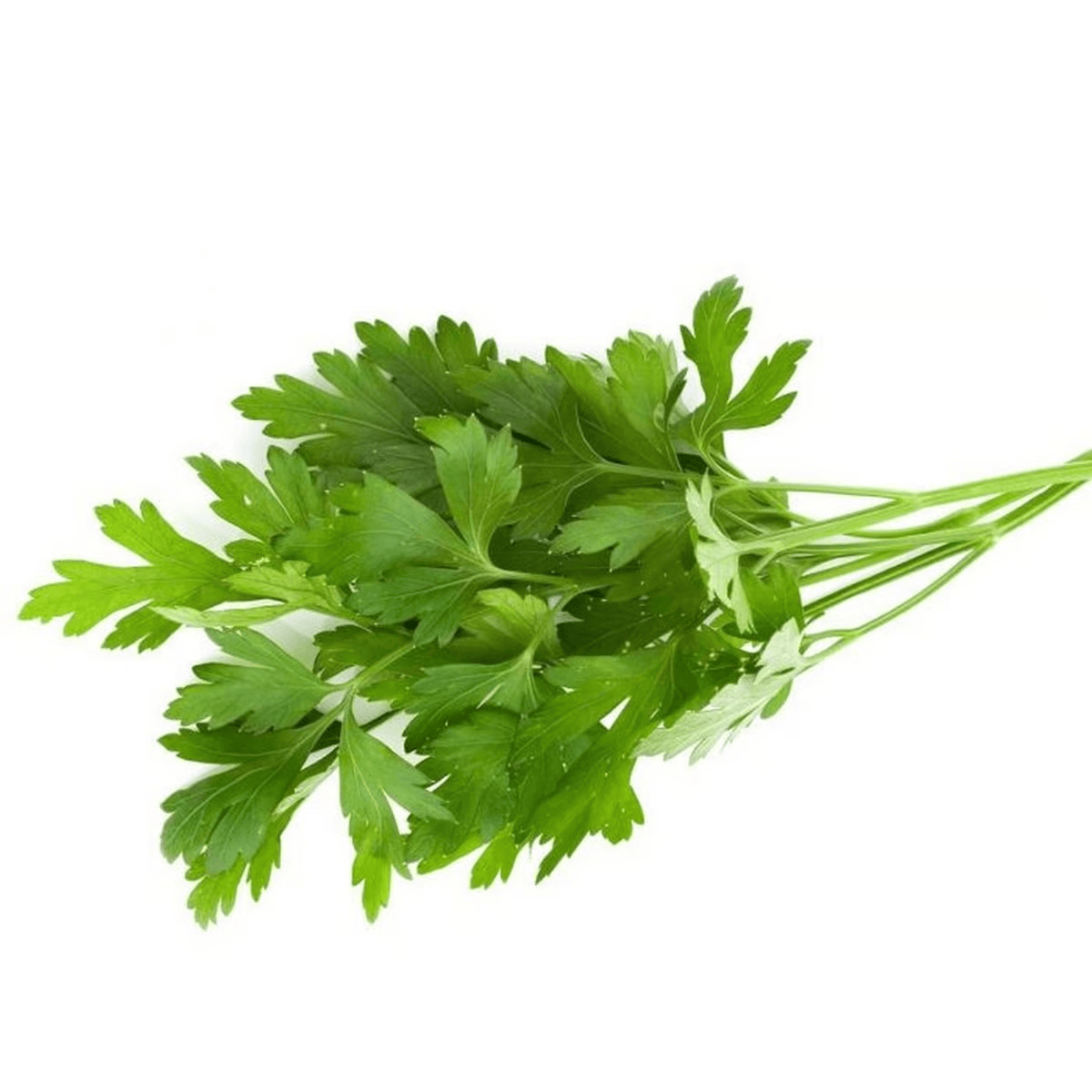 Parsley Leaves 1 Bunch