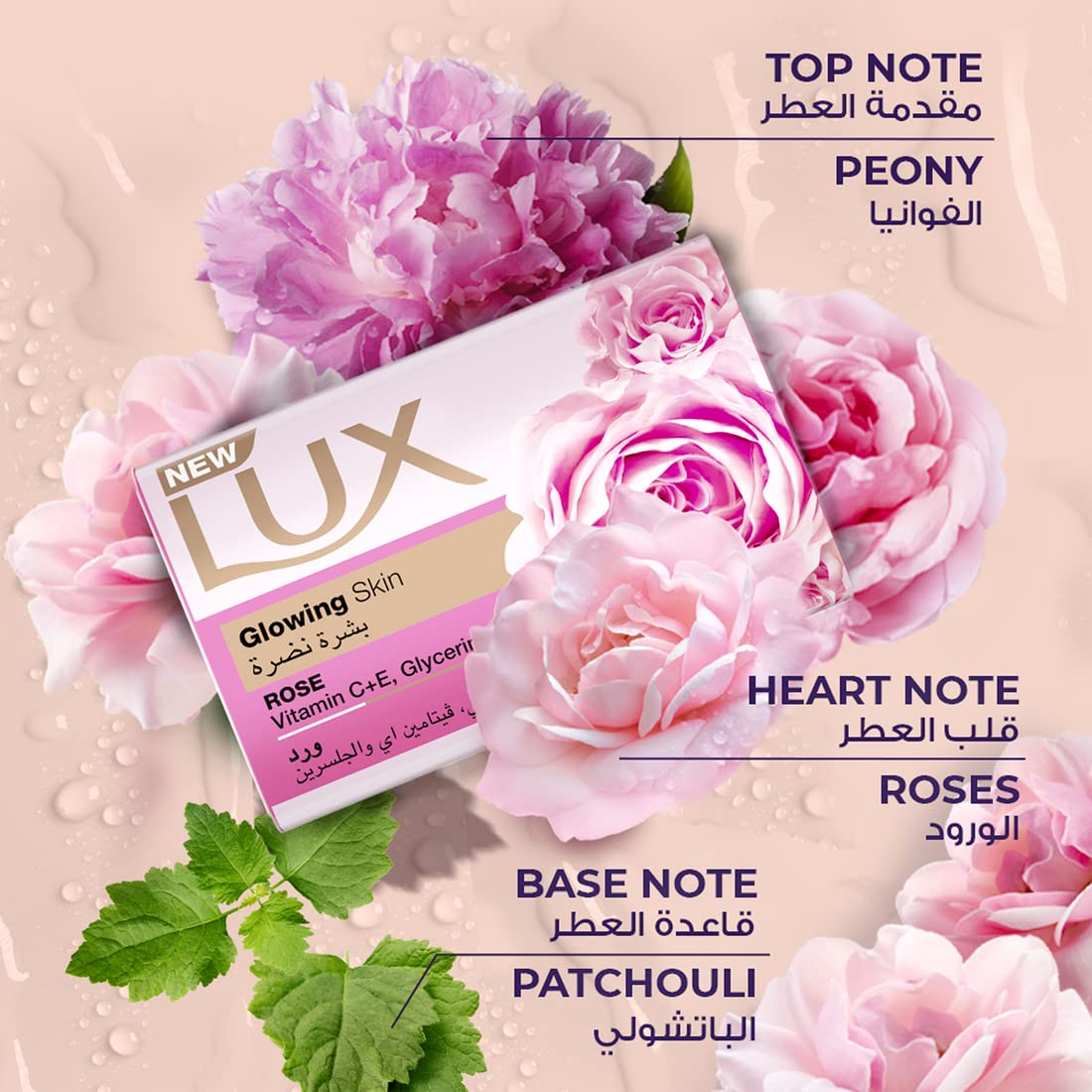 SOAP LUX GLOWING SKIN ROSE ( 72 x 120gm )